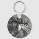 Search for persian cat key rings Cute
