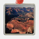Search for grand canyon christmas tree decorations Outdoors