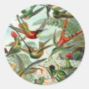 Search for vintage bird illustration stickers Retro