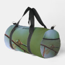 Search for dragonfly bags Insect