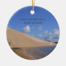 Search for lake michigan christmas tree decorations Blue