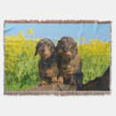 Search for dog portrait blankets Dachshund