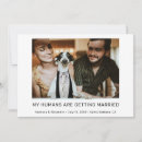 Search for cat wedding invitations Simple