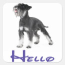 Search for mini schnauzer stickers Puppies
