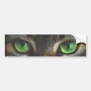Search for tabby bumper stickers Animal