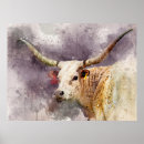 Search for texas longhorn art Bull
