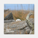 Search for bird watcher magnets Birds of prey