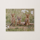 Search for predator puzzles Mammal