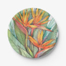 Search for bird of paradise flower plates Tropical
