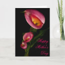 Search for calla lilly cards Beautiful