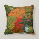 Search for new england cushions Fall