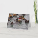 Search for sea otter christmas cards Santa