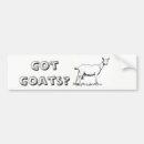 Search for goats bumper stickers Got