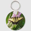 Search for swallowtail butterfly key rings Photography