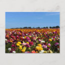 Search for oceanside ocean postcards Vacation