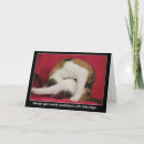 Search for funny kitty image cards Cats