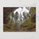 Search for ashes postcards Forest