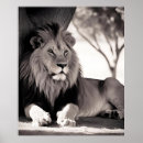 Search for wild africa posters Trees