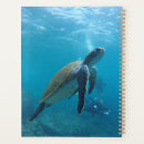 Search for turtle planners Reptile