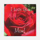 Search for beautiful rose magnets Flower