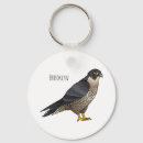 Search for peregrine falcon key rings Bird of prey