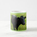 Search for angus mugs Cow