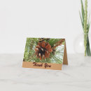 Search for pinecone cards Evergreen