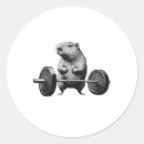 Search for sculpting stickers Bodybuilding style