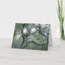 Search for tangle cards Trees