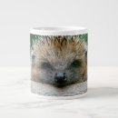 Search for hedgehog coffee mugs Mammal