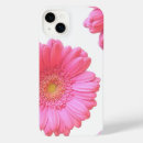 Search for pink gerbera daisy iphone cases Daisies