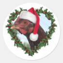 Search for red chicken stickers Hen