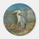 Search for herons magnets Animals