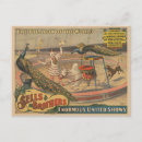 Search for circus show postcards Marketing