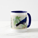Search for warblers mugs Audubon