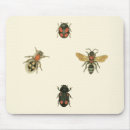 Search for beetle electronics Insects