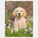 Search for golden retriever blankets Puppy