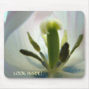Search for tulips mousepads Tulip flower