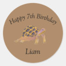 Search for cute tortoise stickers Fun