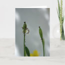 Search for end of life cards Flowers