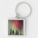 Search for kevin key rings Tree