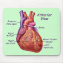 Search for human anatomy mousepads Biology