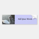 Search for pond bumper stickers Water