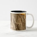 Search for thailand mugs Siam