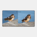 Search for swallow mousepads Animal