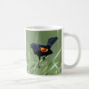 Search for red wings mugs Nature