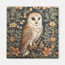 Search for owl magnets Bird