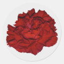 Search for red carnation stickers Flower