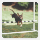 Search for hurdle stickers Vitality