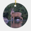 Search for mule christmas tree decorations Buck